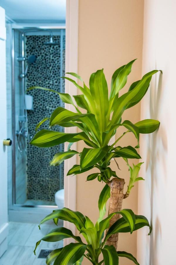 Gorgona Blue Apartments カルパトス エクステリア 写真